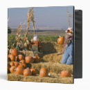 Search for scarecrow binders Farm