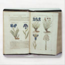 Search for elizabethan electronics 16th