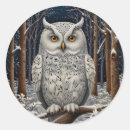 Search for white owls stickers Vintage