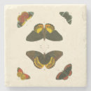 Search for butterfly coasters White