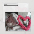 Search for weimaraner postcards Dog