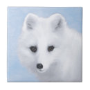 Search for arctic tiles Alaska