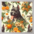 Recherche de cannes posters Chien
