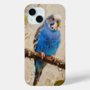 Search for budgy iphone cases Blue