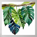 Search for tropical leaves posters Nature