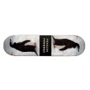 Search for penguin skateboards Antarctica