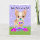 Search for chihuahua easter cards Eggs