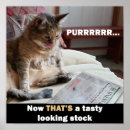 Search for meme posters Cat