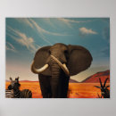 Search for majestic posters Endangered species