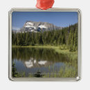 Search for reflected ornaments Horizontal