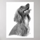 Search for setter posters Hunter