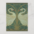 Search for rush postcards Birds