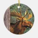 Recherche de symbole américain ornements Symboles