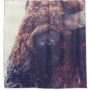 Search for bison shower curtains Nature