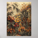 Search for botanical illustration posters Floral