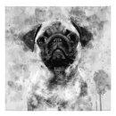 Recherche de carlin noir posters Carlins