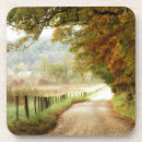 Search for road coasters Photography