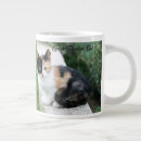 Search for phantom mugs Cats