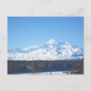 Recherche de mouche cartes postales Alaska