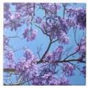 Recherche de blossom carreaux Bleu