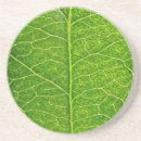 Search for save the planet coasters Nature