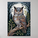 Search for nocturnal posters Forest
