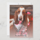 Search for basset hound christmas cards Animal