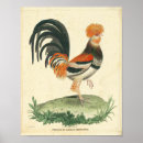 Search for vintage french kitchen posters Farm