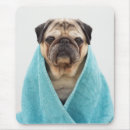 Search for pug mousepads Face