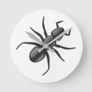 Search for ant clocks Animal