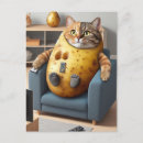 Recherche de pomme cartes postales Chaton