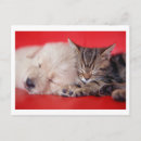 Recherche de pub cartes postales Rouge