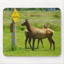 Search for olympic mousepads Wildlife