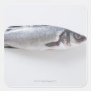 Search for ocean life stickers Seafood