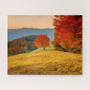 Recherche de arbre puzzles Nature