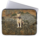Search for tigers ipad cases Wildlife