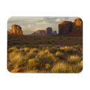 Search for erosion magnets Usa