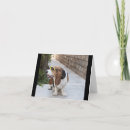 Search for basset hound cards Pet
