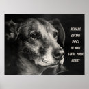 Search for funny dog pictures posters Puppy