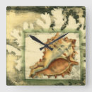Search for conchs art Conch seashell