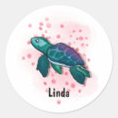 Search for magic round stickers Turtle