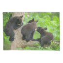 Search for animal pillowcases Bear