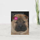 Recherche de pei vœux cartes Animaux