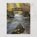 Search for woodland plants postcards Leaf