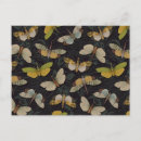 Recherche de mouche cartes postales Lanterne