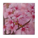 Search for japanese cherry blossom tiles Sakura