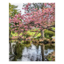 Search for photographic posters Trees