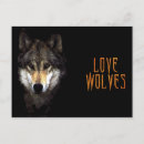Search for digital wolf postcards Wild