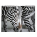 Search for zebra calendars Safari
