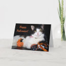 Search for kitty halloween cards Cat